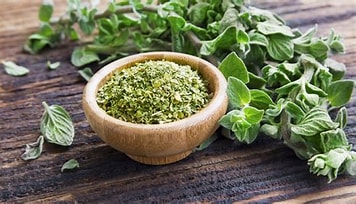 oregano1